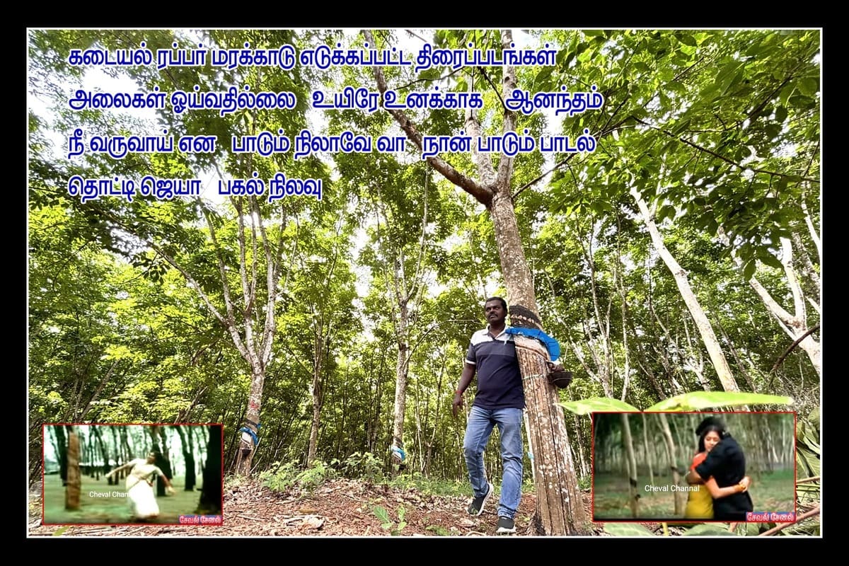 Best Couples Resorts in Paramakudi